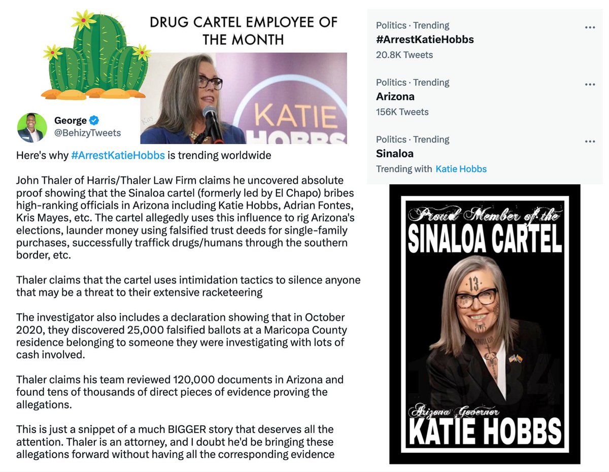320Republic64's tweet image. The only #Fraud is #CartelKatie #ArrestHobbs