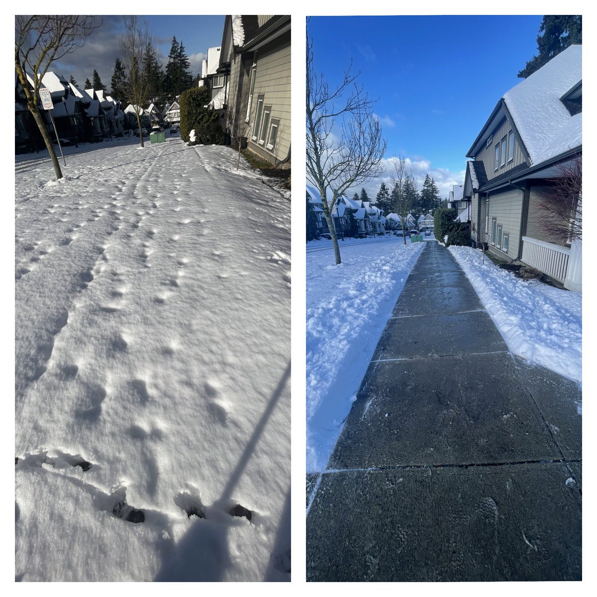❄️ #BeforeAfter #BCStorm #Vancouver ❄️