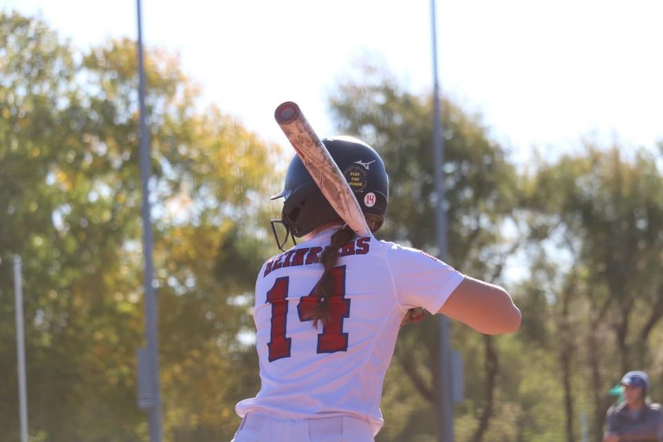 Shailynn Heinrichs tweet media