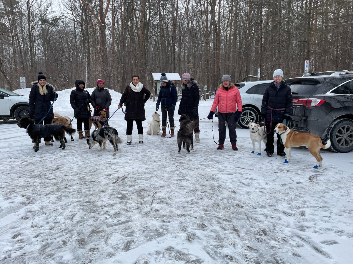 SeeWhatSheCanDo's tweet photo. A stellar winter wonderland for taking a walk in the woods yesterday morning with our #SWSCD Women &amp; Dogs Circle Group in partnership with #MuttzWithMannerz. Thx to all who joined in.  #SeeWhatSheCanDo  #GetInspired #KeepActive #SWSCDWomensCircles #BeAnOutsider #CommunityCounts https://t.co/TTAJizM51T