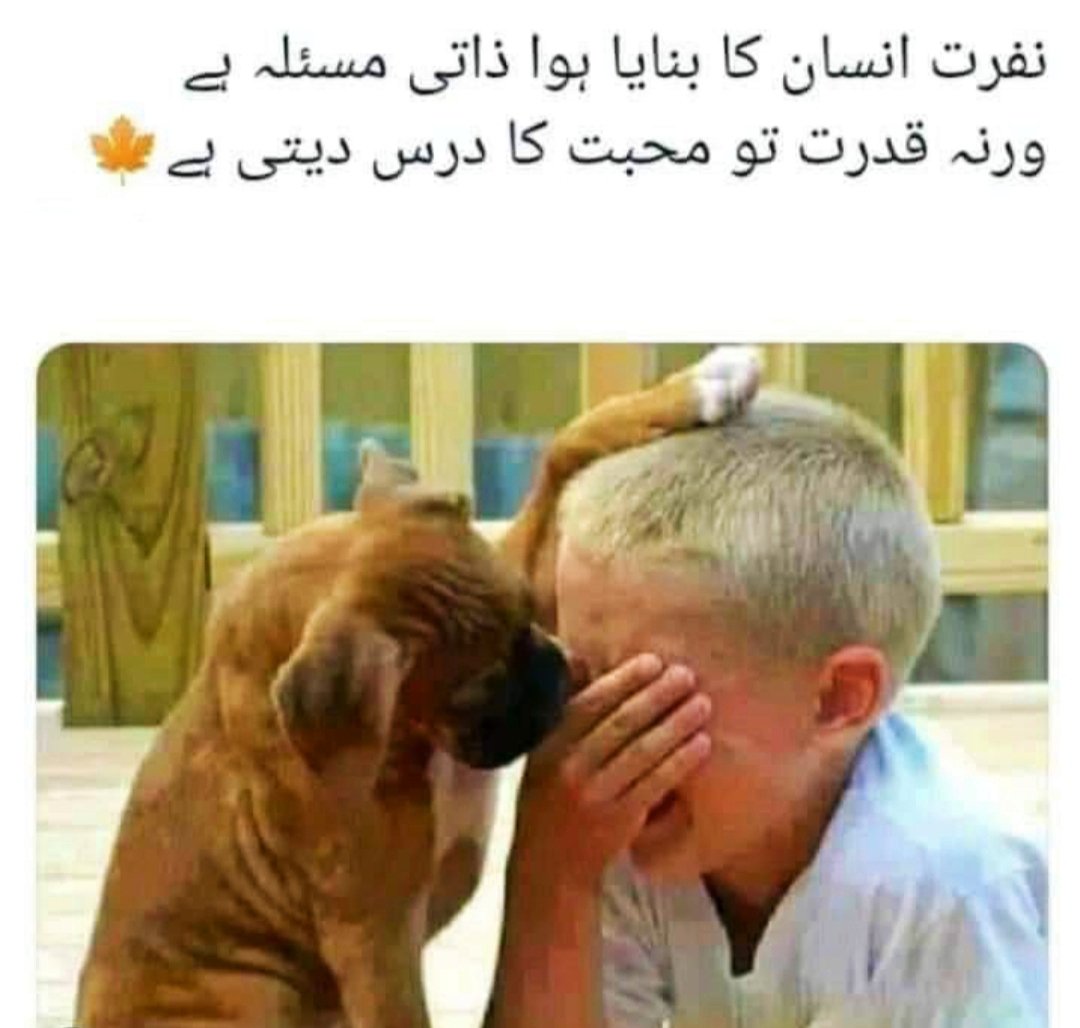 Brightvisionpk's tweet photo. https://t.co/rdoW9nrSk2