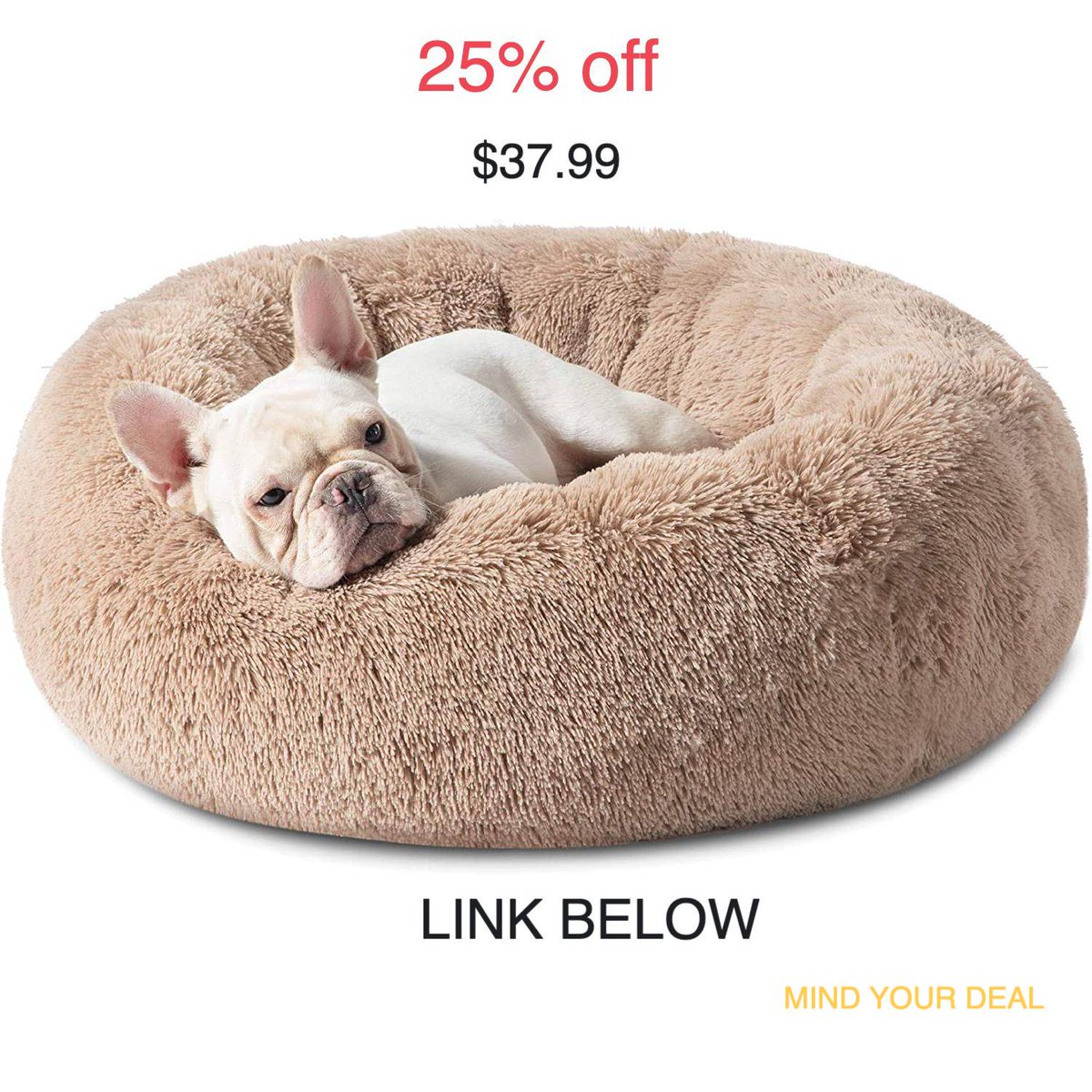 khurpench_mzn's tweet photo. $37.99 at 25% off on BEDSURE Calming Dog Bed for Medium Dogs
Amazon Deal (affiliate)- https://t.co/wJYGnctqNG

#amazondela #deal #sale #discount #Offer #dogs #sogbeds #dogbed #bulldog #oets #cats #doglover #usa #america https://t.co/YqVdJg0f3N