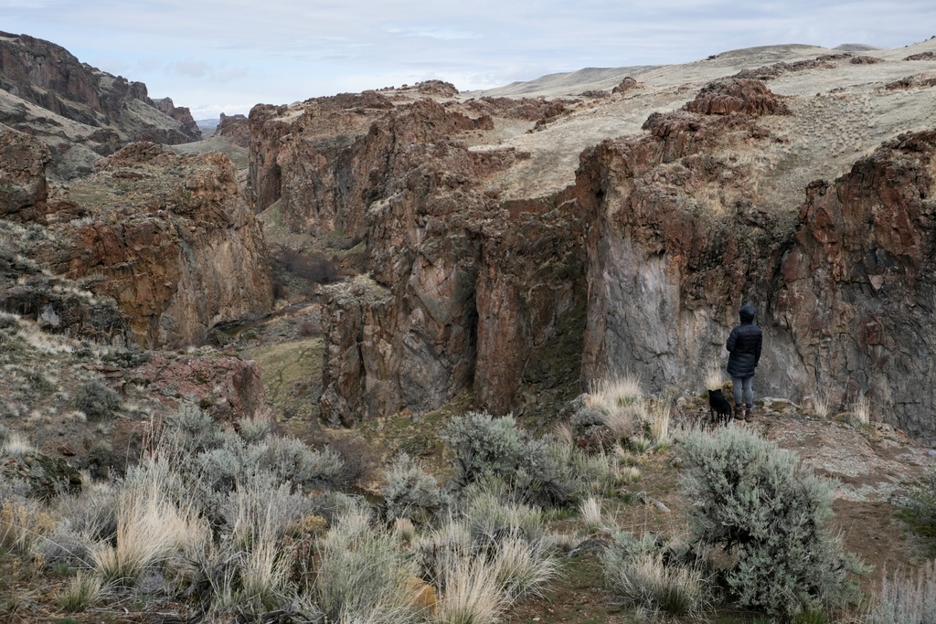 “A few simple tips for life: feet on the ground, head to the skies, heart open… quiet mind.” –Rasheed Ogunlaru

#SundayThoughts

📸 Randy Aarestad, 2020

#OwyheeCanyonlands #publiclands #OwyheeFriends