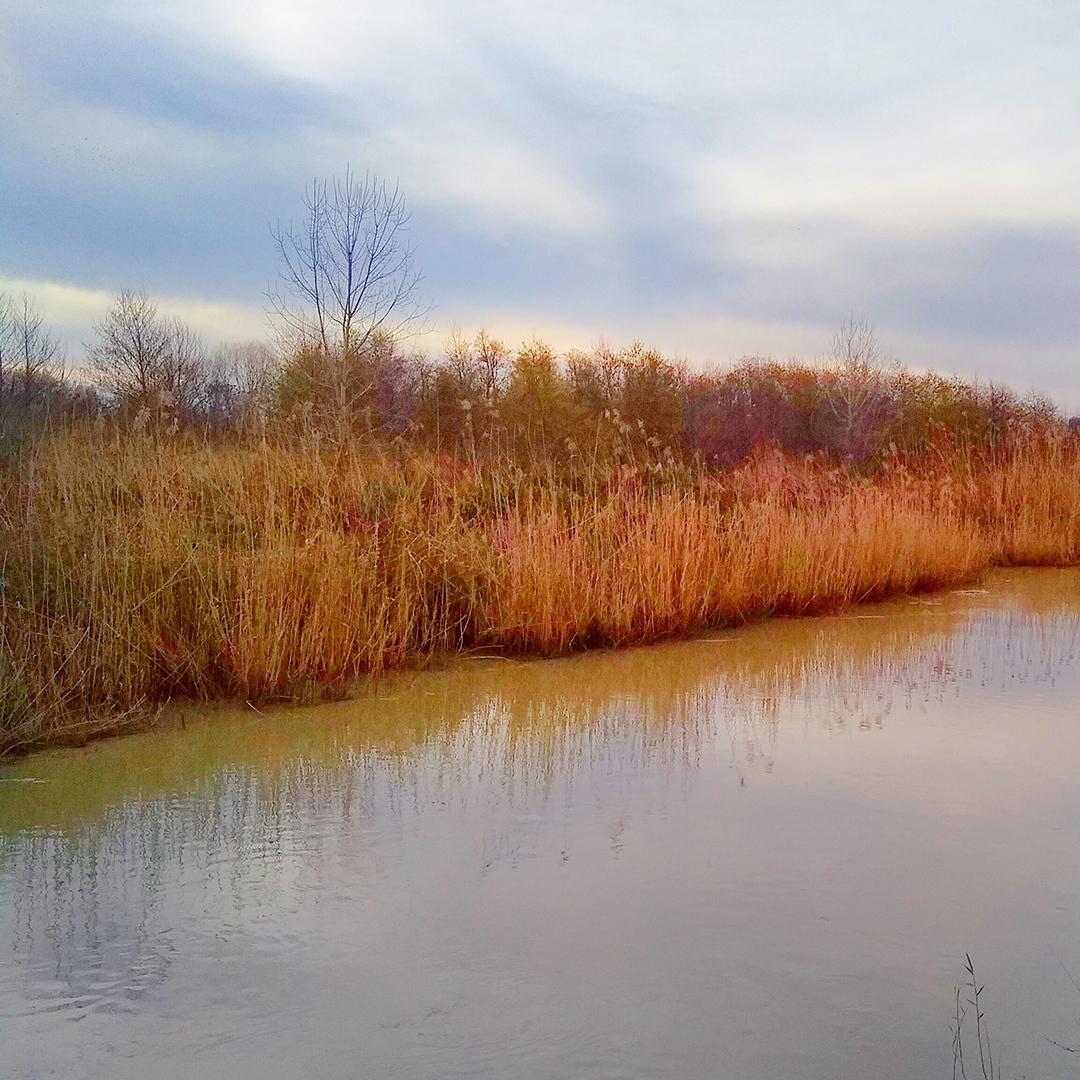 LeapFrog Design tweet media