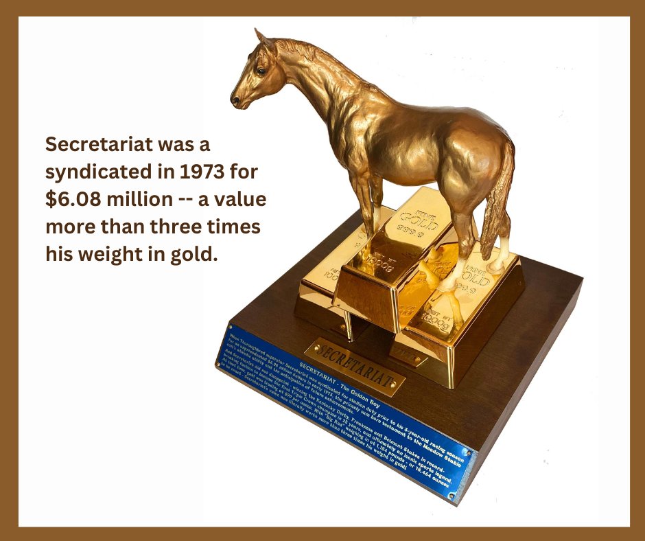 Secretariatprmr's tweet photo. #OnThisDate in 1973, it was announced that #Secretariat had been syndicated for a record-breaking $6.08 million. At that time, gold was trading for $90 per ounce and Secretariat weighed 1,154 pounds (18,464 ounces), making his value more than three times his weight in gold.
#OTD https://t.co/tOwTHvZ8ET