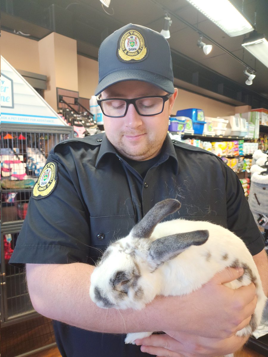 TBCC Local 708 tweet media