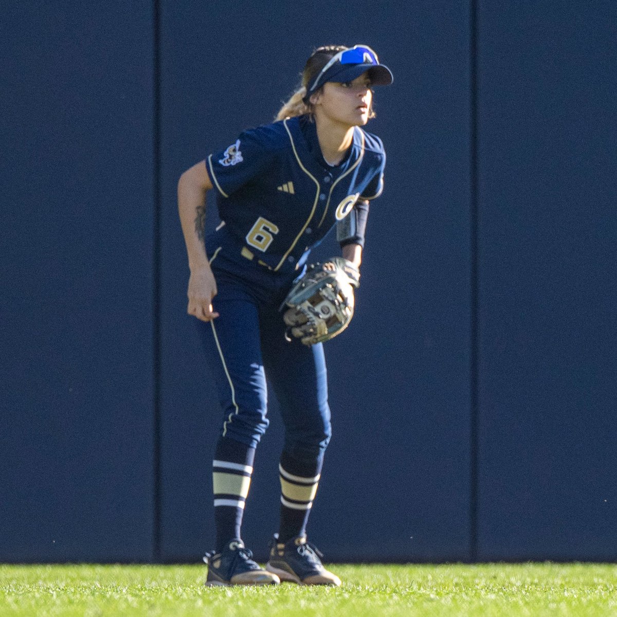 GaTechSoftball's tweet photo. 😱𝗕𝗔𝗖𝗞-𝗧𝗢-𝗕𝗔𝗖𝗞 𝗗𝗜𝗩𝗜𝗡𝗚 𝗦𝗡𝗔𝗚𝗦😱

@grace_connelly3 keeps one in the infield before @auburn_dupree takes flight in center field ✈️

#BeGold x #404Institute https://t.co/ZYQW4cgoy5