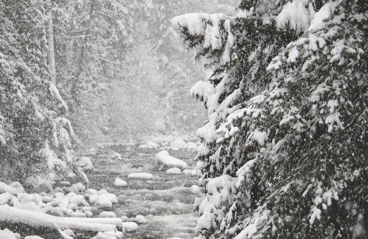 Brooke Haller tweet media