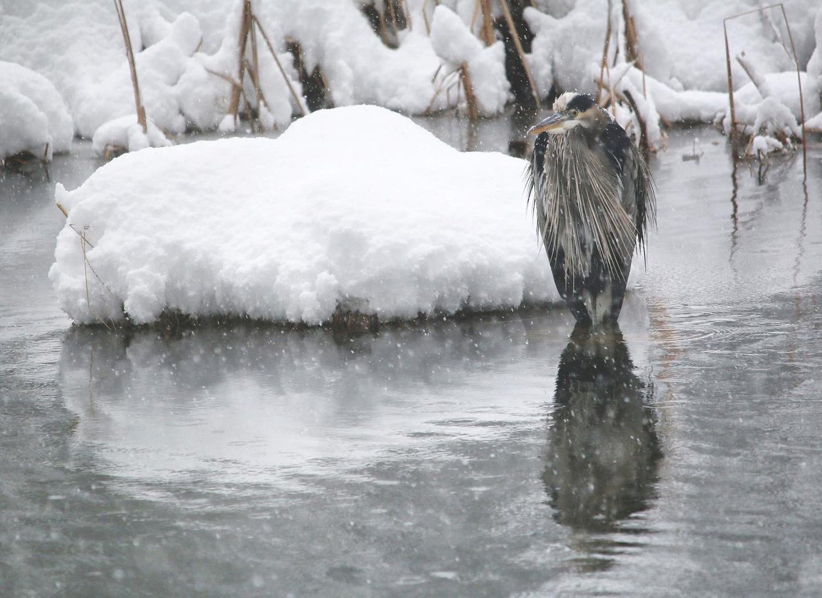 Brooke Haller tweet media