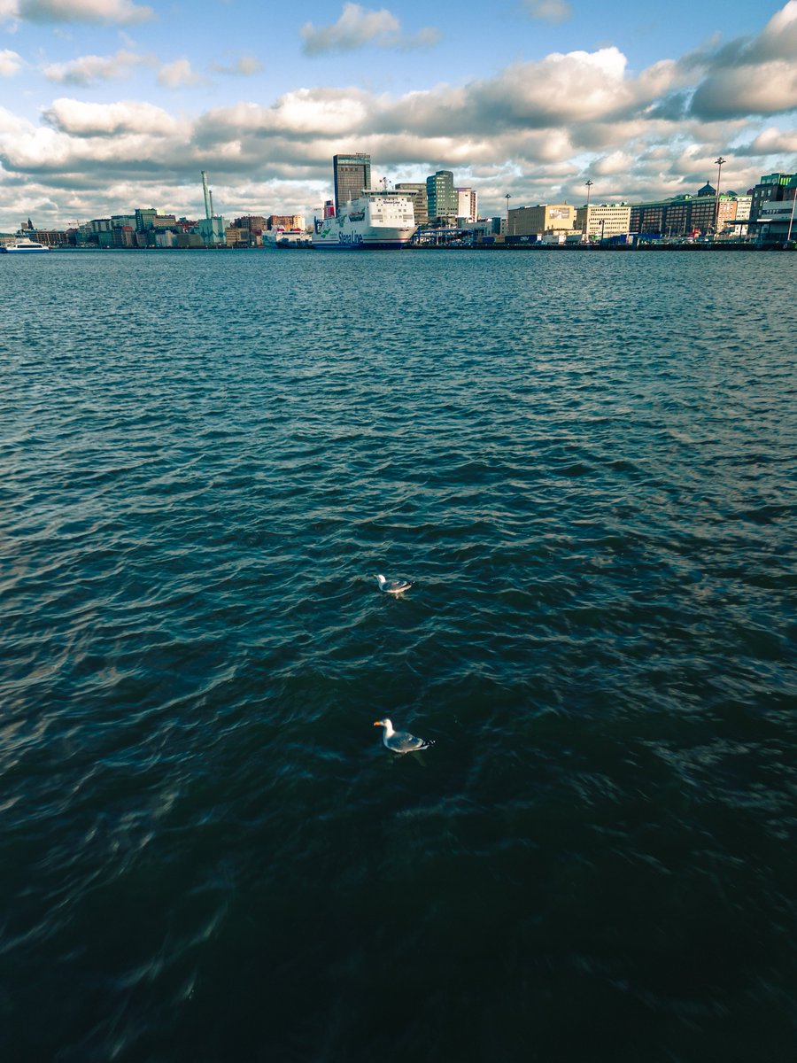 BIRD´S EYE VIEW 🦆

#gothenburg #seagulls #göteborg #dronephotography #coastalviews #birdseyeview #waterlust #naturephotography 
#oceanviews #wildlifephotography #sealife #aerialphotography #droneoftheday #dji #mini3pro