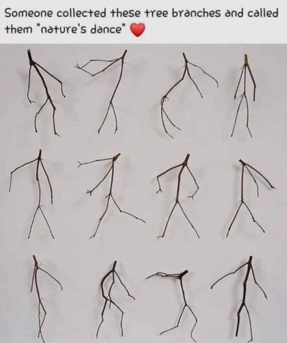 Hollywood Horror Museum tweet media