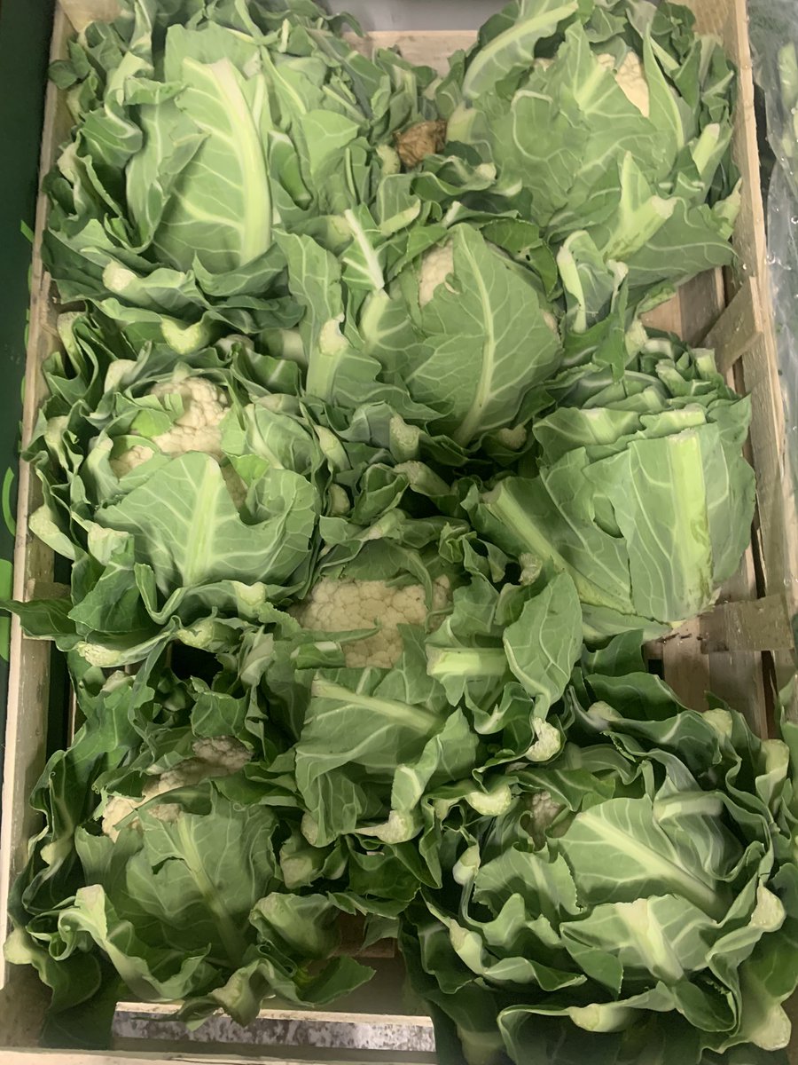TatwsTrading's tweet photo. As an #independent Greengrocer we’ve had our best week ever in #February it’s fantastic to explain truthfully what’s going on to customers old &amp; new &amp; hopefully the #supermarkets have finely Fucked it up for themselves #Greed when you #shoplocal we tell the truth 👊👊 https://t.co/5M79NsHGNU