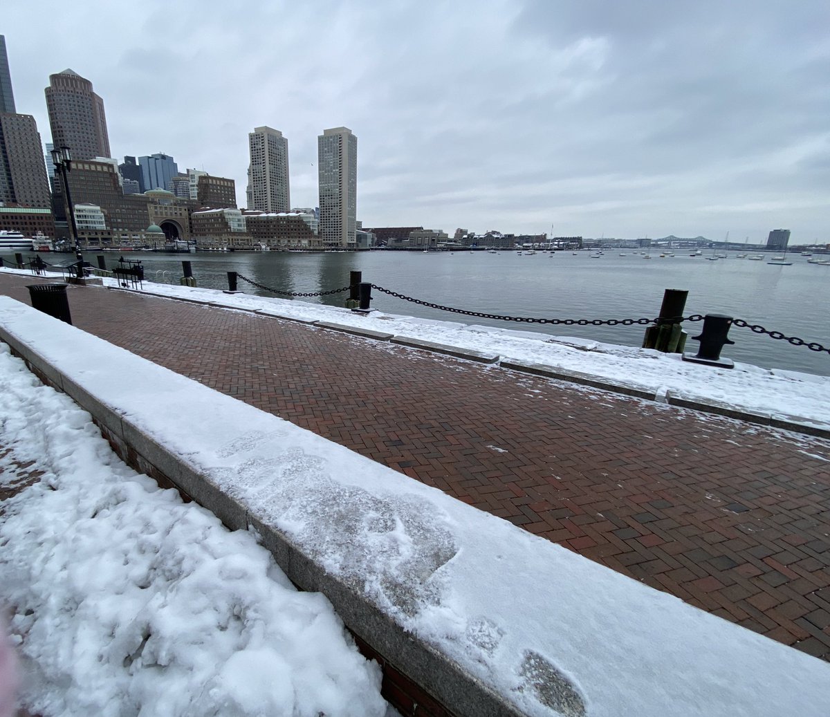 falcicchio's tweet image. ⬇️ ❄️ in Boston 

                                 🌸 #ExperienceDC ⬇️