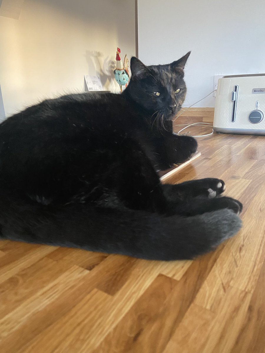 Lisa Sutton tweet media