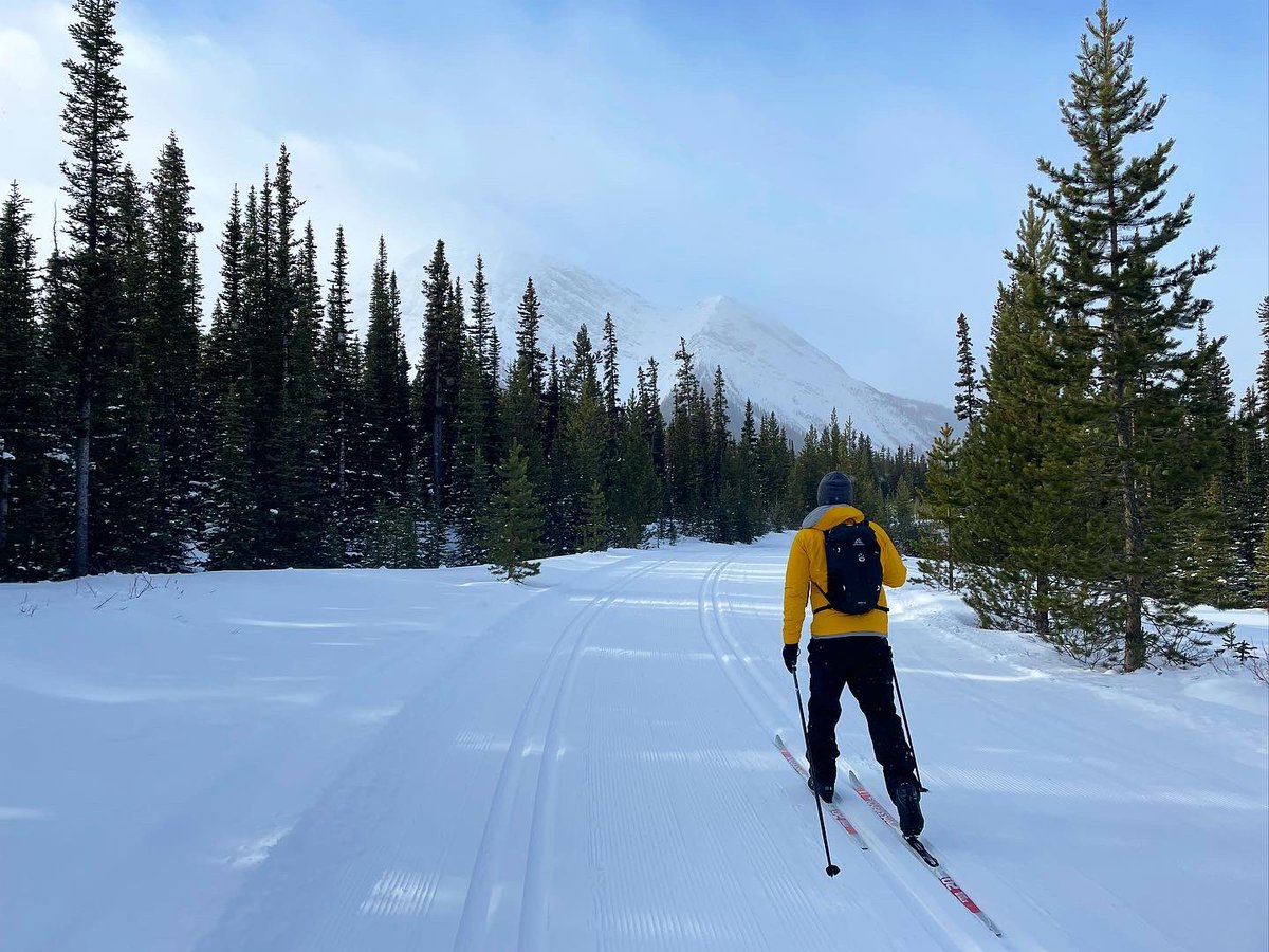 Spent Saturday morning on the skinny skis at Mt. Shark with @Rusty1122. It had been years since we were last there so was fun exploring the trails again.

#ABparks #ABparksAmbassador #SnowSeekers #SeekersAmbassador #ExploreAlberta #Skiing #XCskiing #ExploreRockies #Mountains