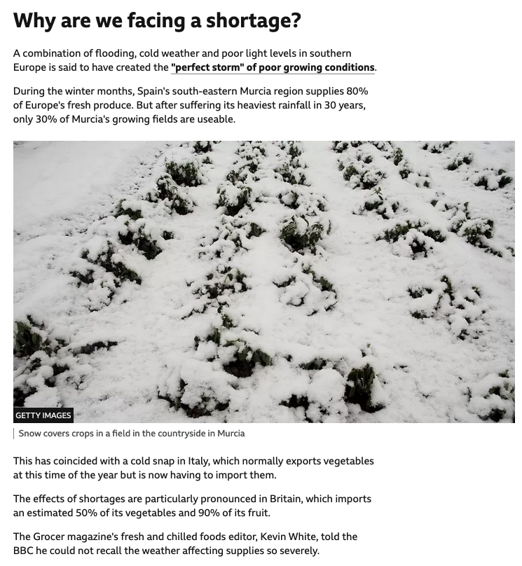 noxcato's tweet photo. It isn't normal not to have every vegetable and every fruit in the shops year-round. This is a direct result of Brexit. #BrexitDisaster #BrexitFamine
And yet, BBC doesn't even mention the B-word while attempting to explain the shortage.
Full story:
https://t.co/wN6hoKGcgp https://t.co/zG4omszyui