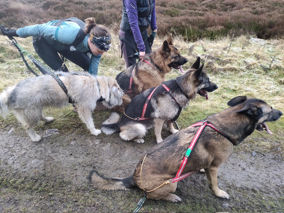 There's always one that claims they didn't get the memo about the line-up for the group photo 🙄