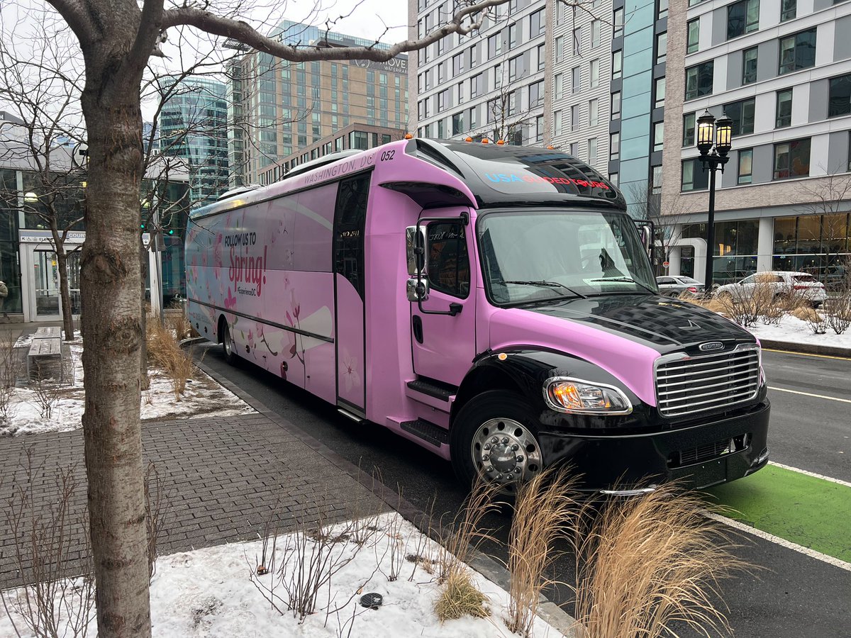 CherryBlossFest's tweet image. We just launched the Cherry Blossom
Bus tour in Boston, soon heading to our next stop in New York. We invite everyone to #ExperienceDC and celebrate spring ! @MayorBowser @TheEventsDC @destinationdc @DMPEDDC 🌸🌸🌸 

#ExperienceDC #CherryBlossFest