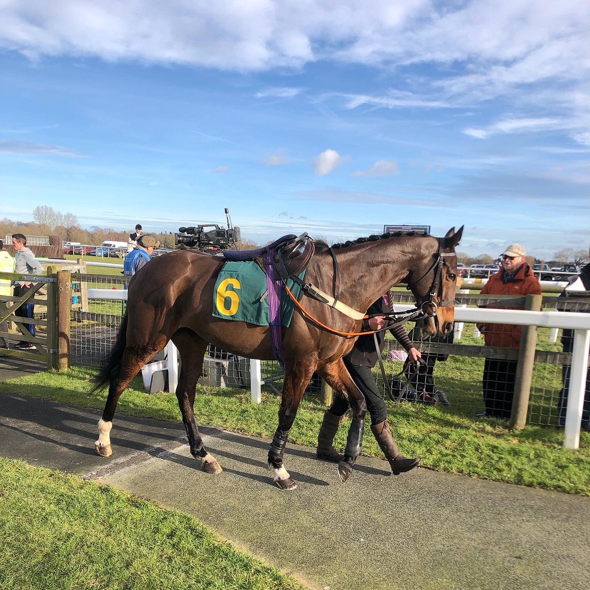 Four runners <a href="/plumptonraces/">Plumpton Racecourse</a> tomorrow <a href="/Sean_Houlihan1/">SeanHoulihan</a> rides Tzunami then <a href="/NickScholfield1/">Nick Scholfield</a> has three rides; Our Champ, Shaws Cross then San Pedro. #racing