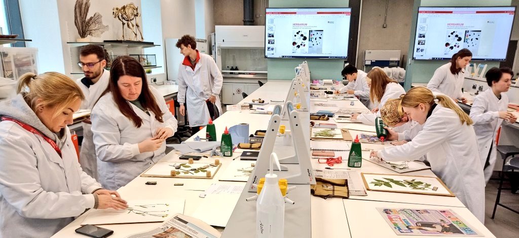 BotanyRNG's tweet photo. @Botanygeek @BUCBotany No longer degrees called 'Botany' but botany teaching is very much alive in biology degrees. Last week taught plant family ID &amp; how to make herbarium. @uniofreading 2nd from last UK University to stop the named degree @readingbotany. I now teach more people botany than before 🙂 https://t.co/93NJ3OcOv6