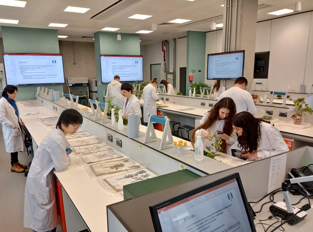 BotanyRNG's tweet photo. @Botanygeek @BUCBotany No longer degrees called 'Botany' but botany teaching is very much alive in biology degrees. Last week taught plant family ID &amp; how to make herbarium. @uniofreading 2nd from last UK University to stop the named degree @readingbotany. I now teach more people botany than before 🙂 https://t.co/93NJ3OcOv6