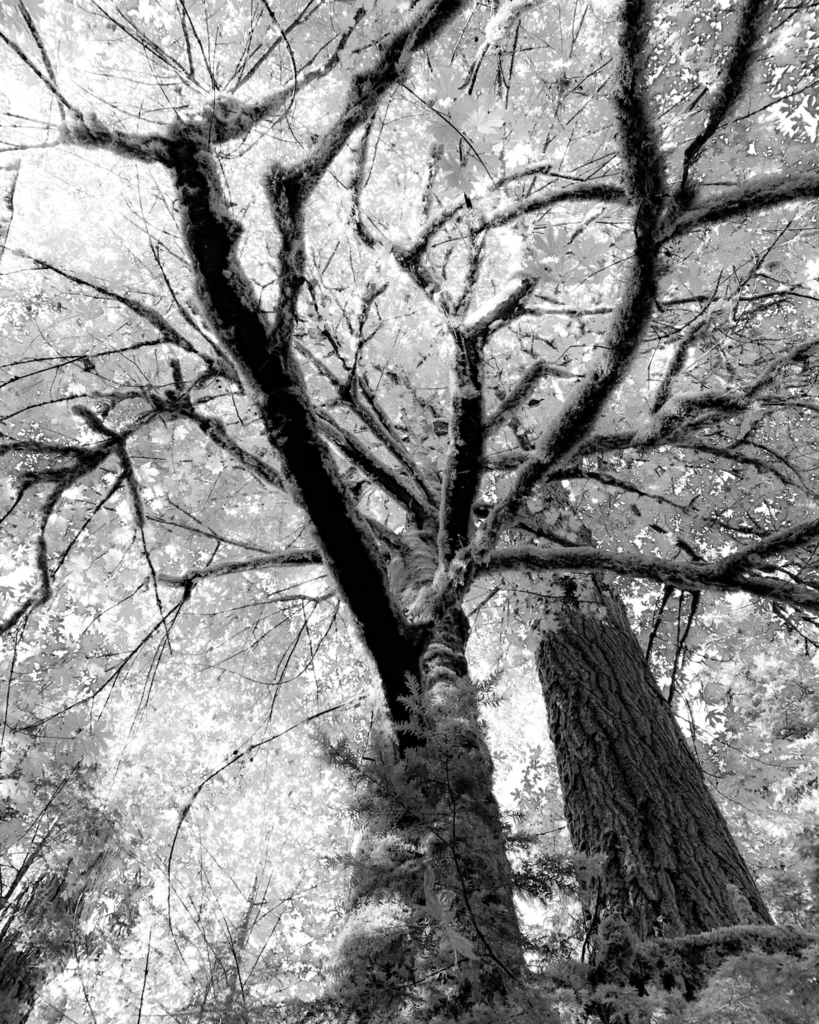 Don't worry, it's not snowing in Franklin today (even though the wind makes you feel like it's about to). Stay focused, keep looking to mother nature, and know that spring is right around the corner.  Your bees are quietly getting ready inside the hive s… instagr.am/p/CpImEUWsvbz/