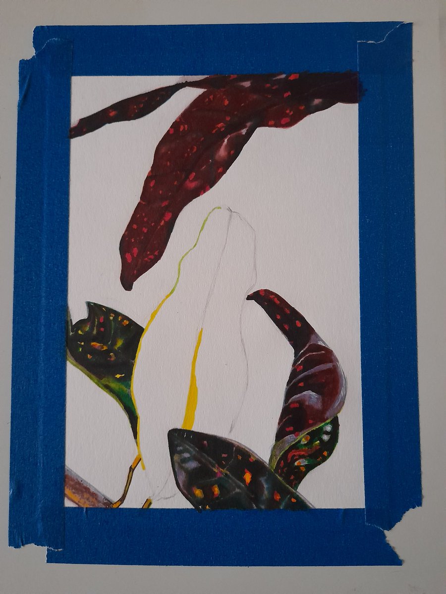XxNightblazexX's tweet photo. Day 25, completed 🙌🏾
#FebruaryLeaves
#oneaday 
#art #leaves #croton #drawing #markers #caribbean #artwork https://t.co/jDw31u8sO7