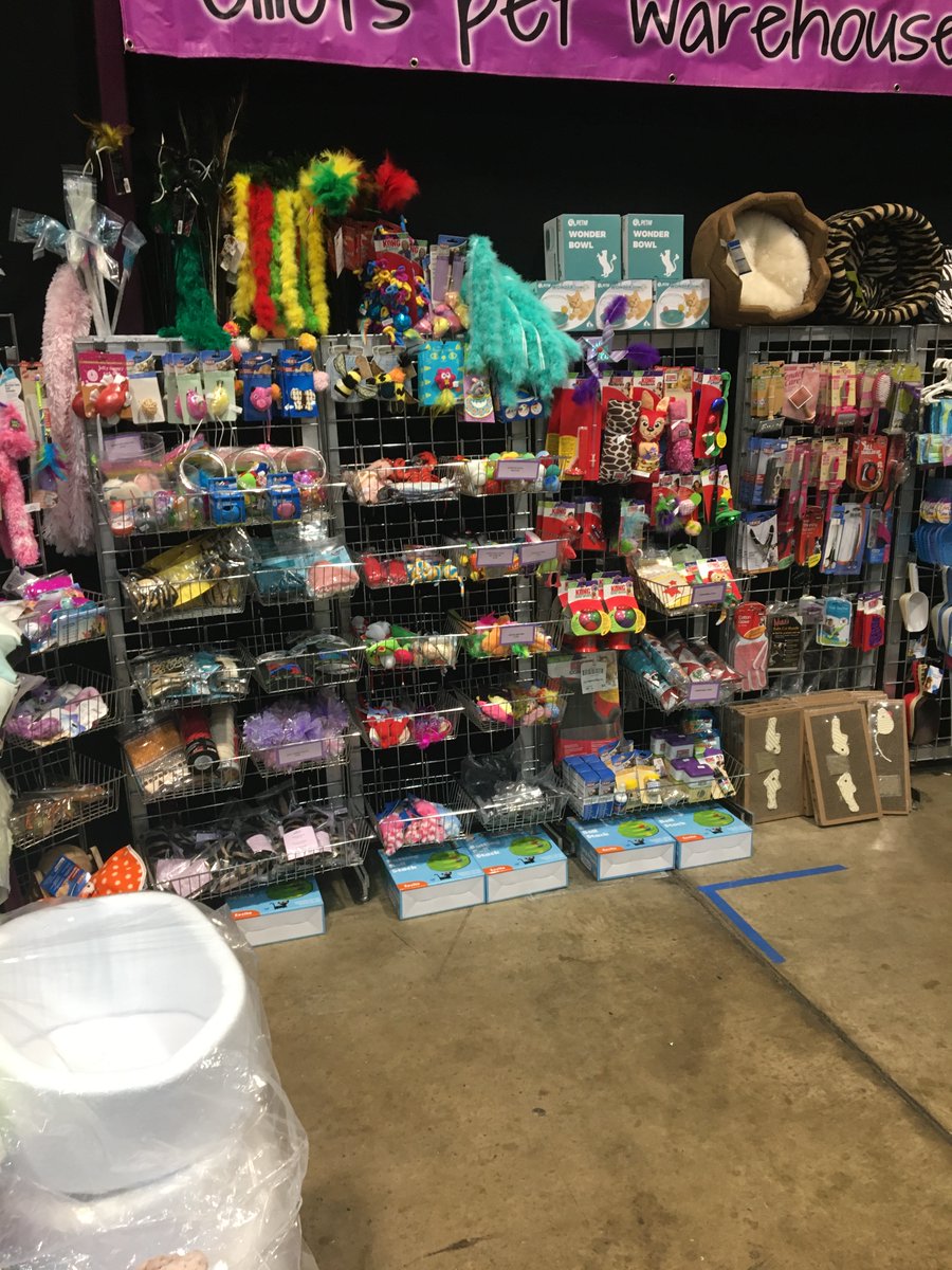 #CatsAreFamily At #elliotspetwarehouse we have a large range of #catproducts inc #cattoys, #catgroomingsupplies #naturalcattreats and much more Shop with us soon