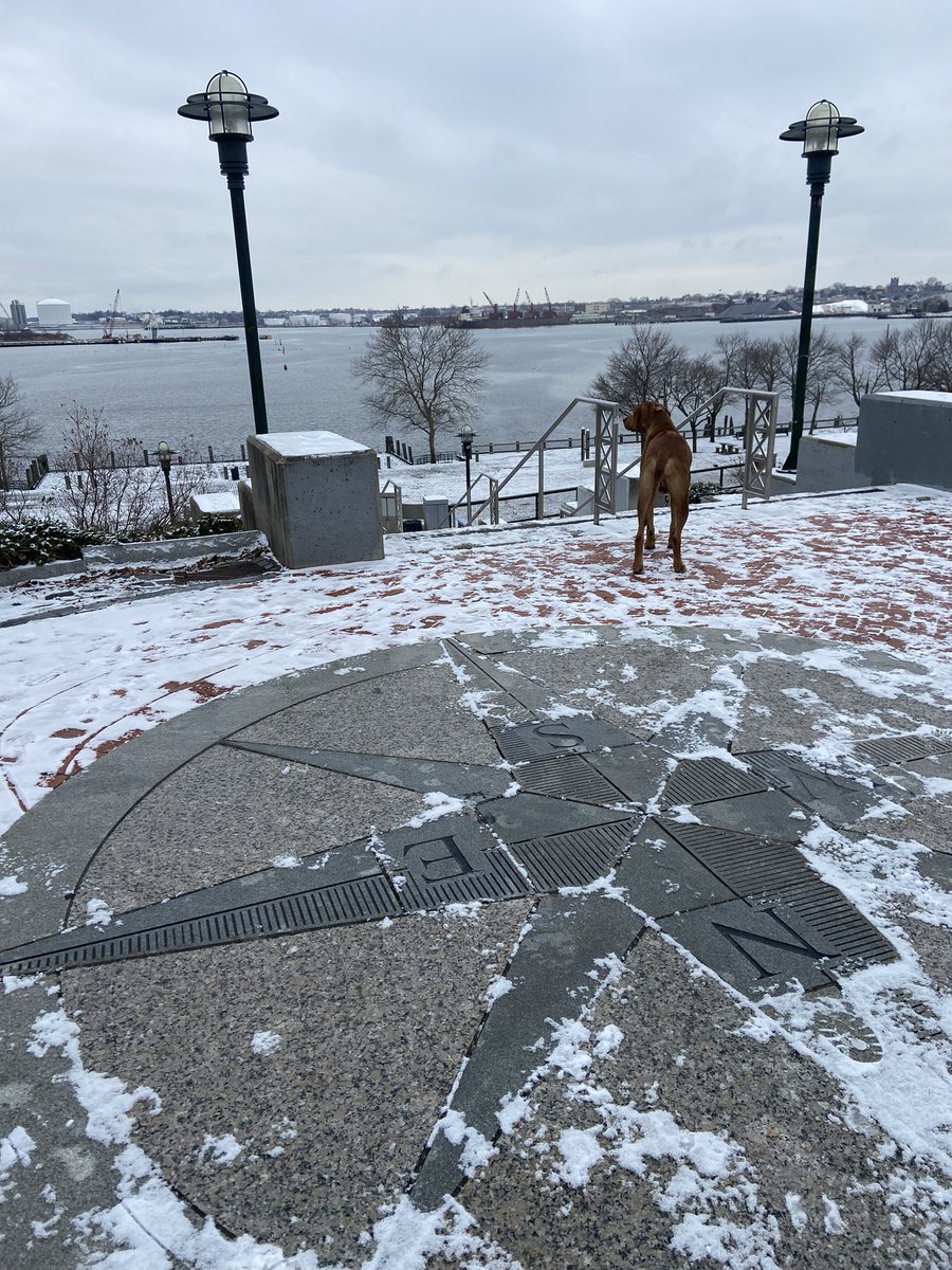 StateAnnie's tweet photo. Grey day at the top of the bay
#RhodesianRidgebacks
#RhodeIsland #IndiaPoint https://t.co/MR1nk2D0OJ