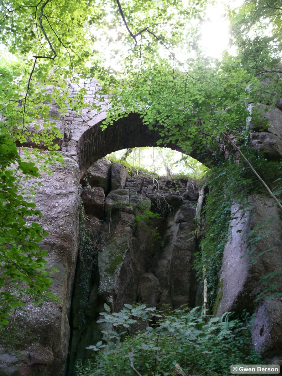 OuSortirEn's tweet photo. 🏰 Partez à la Découverte du #Château Oublié, le Château Hagelschloss dans le massif forestier du Mont Sainte-Odile. Fort en ruine sur un site naturel très beau à explorer.
• Ottrott 67 • > https://t.co/sHYqKGvtZO
#alsace #ousortir #quefaireen https://t.co/FT5jgDsv1i