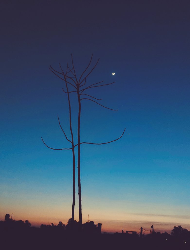 nikitamanhas100's tweet photo. Talking to the moon♥️✨🌙
#Moon https://t.co/ItYcWdf5V2