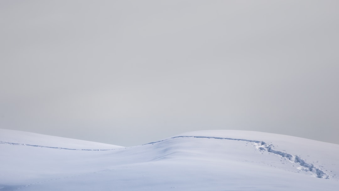 khemsok97's tweet image. Debug computer network issues by checking essential network services first, such as DHCP, DNS, FTP and HTTP services. #coding #networktips