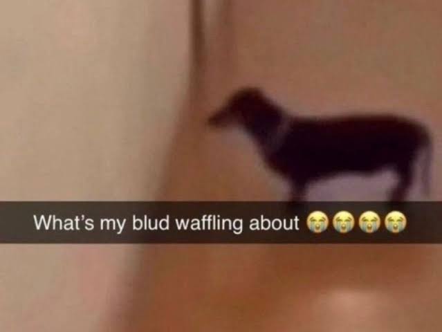 <a href="/DelusionPosting/">Delusional Takes</a>