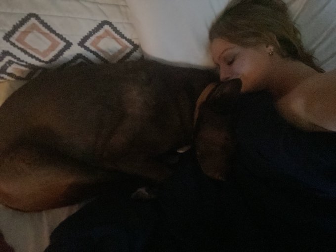 I&rsquo;ll be on cam at soooome point today but for now&hellip;. Dog cuddles in bed https://t.co/U7qD2wmyIA<a href="/tag/myfreecams"class="tags"><span>#myfreecams</span></a>