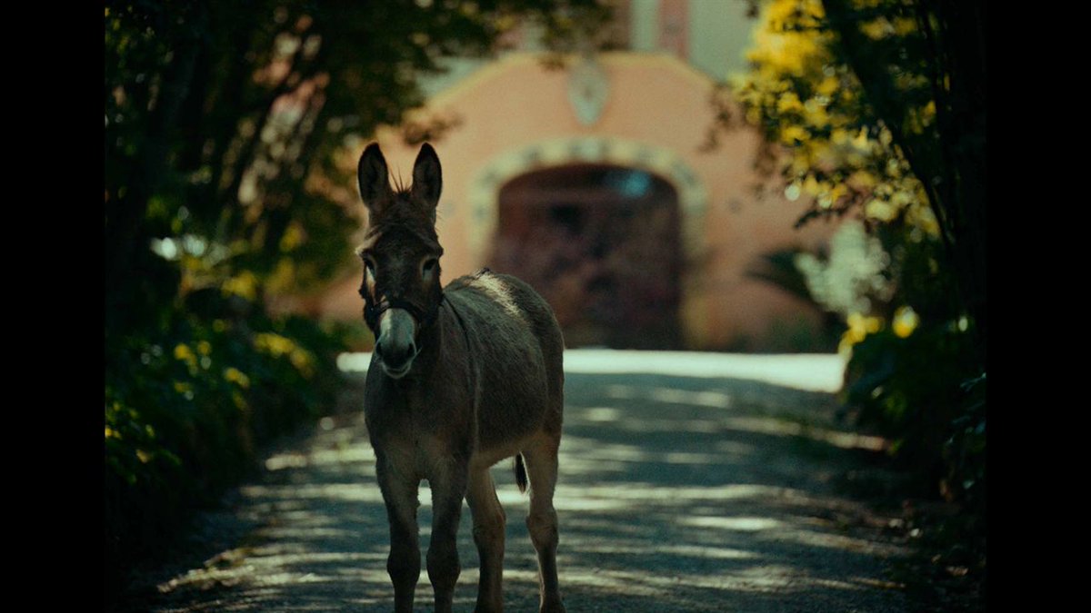 Sirah Wiedemann tweet media