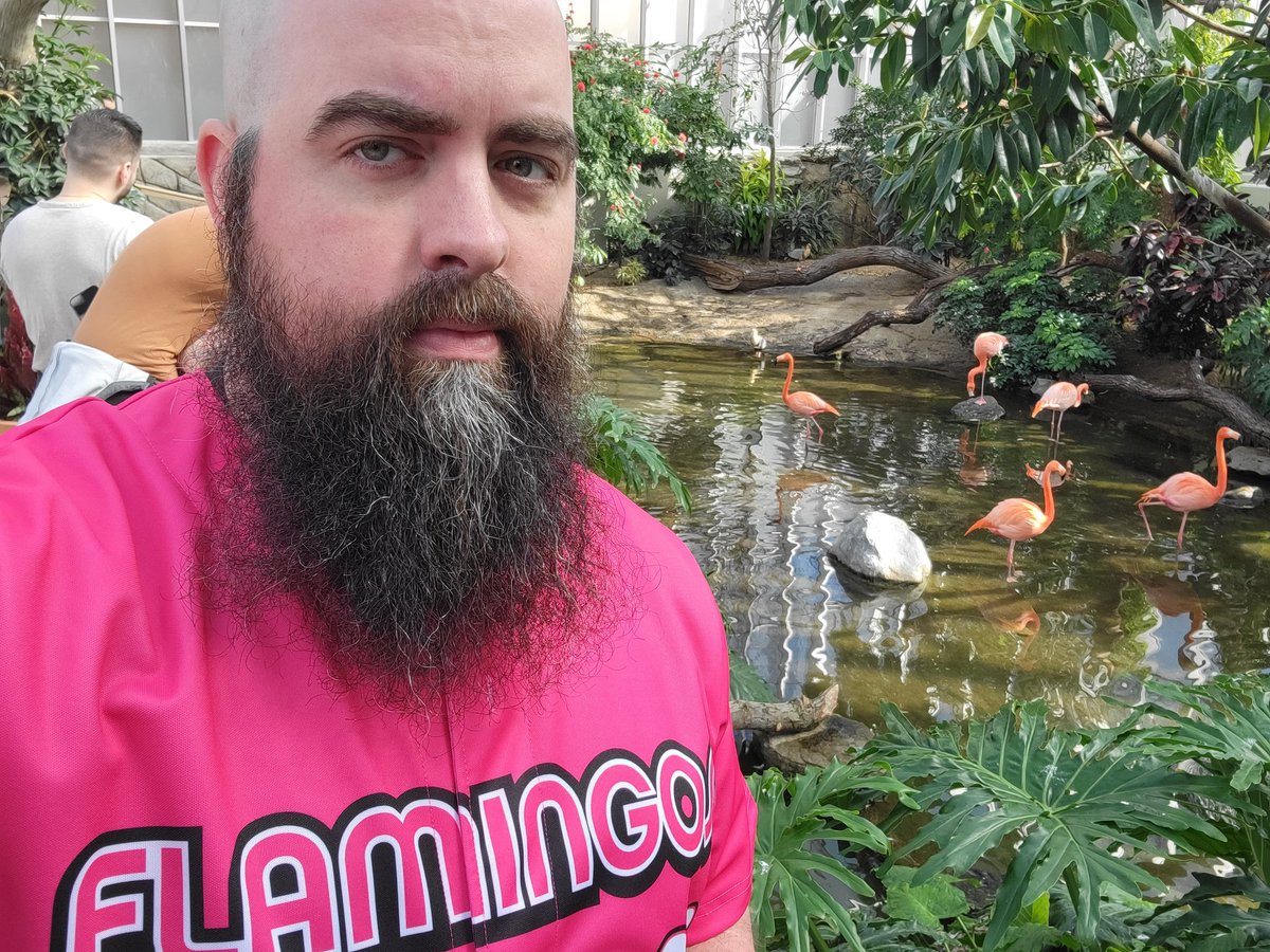 They have accepted me as one of their own. #flamingofest