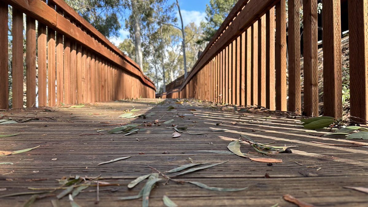 BrianDouglasKNX's tweet photo. Debris from our storm scattered across my running path. I will prevail and I will make it thru! #myrun https://t.co/xSHCpTWura