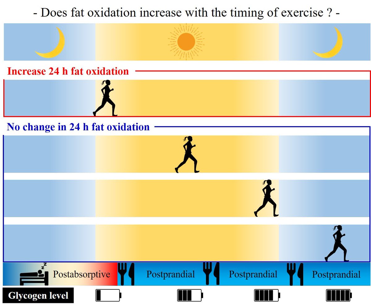 #Exercise Timing Matters for Glycogen #Metabolism and Accumulated Fat Oxidation over 24 h
mdpi.com/2155112