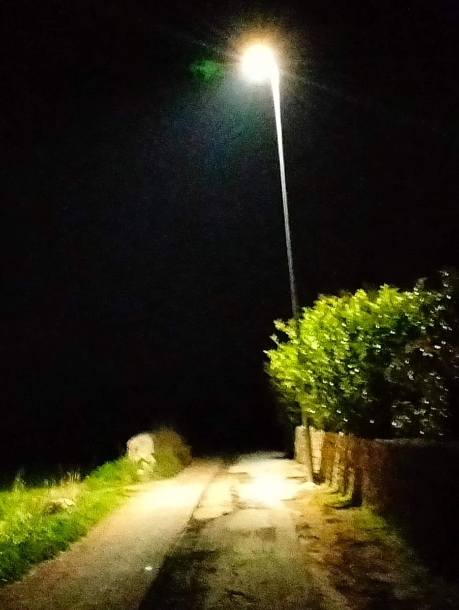 Comune di Andrano tweet media