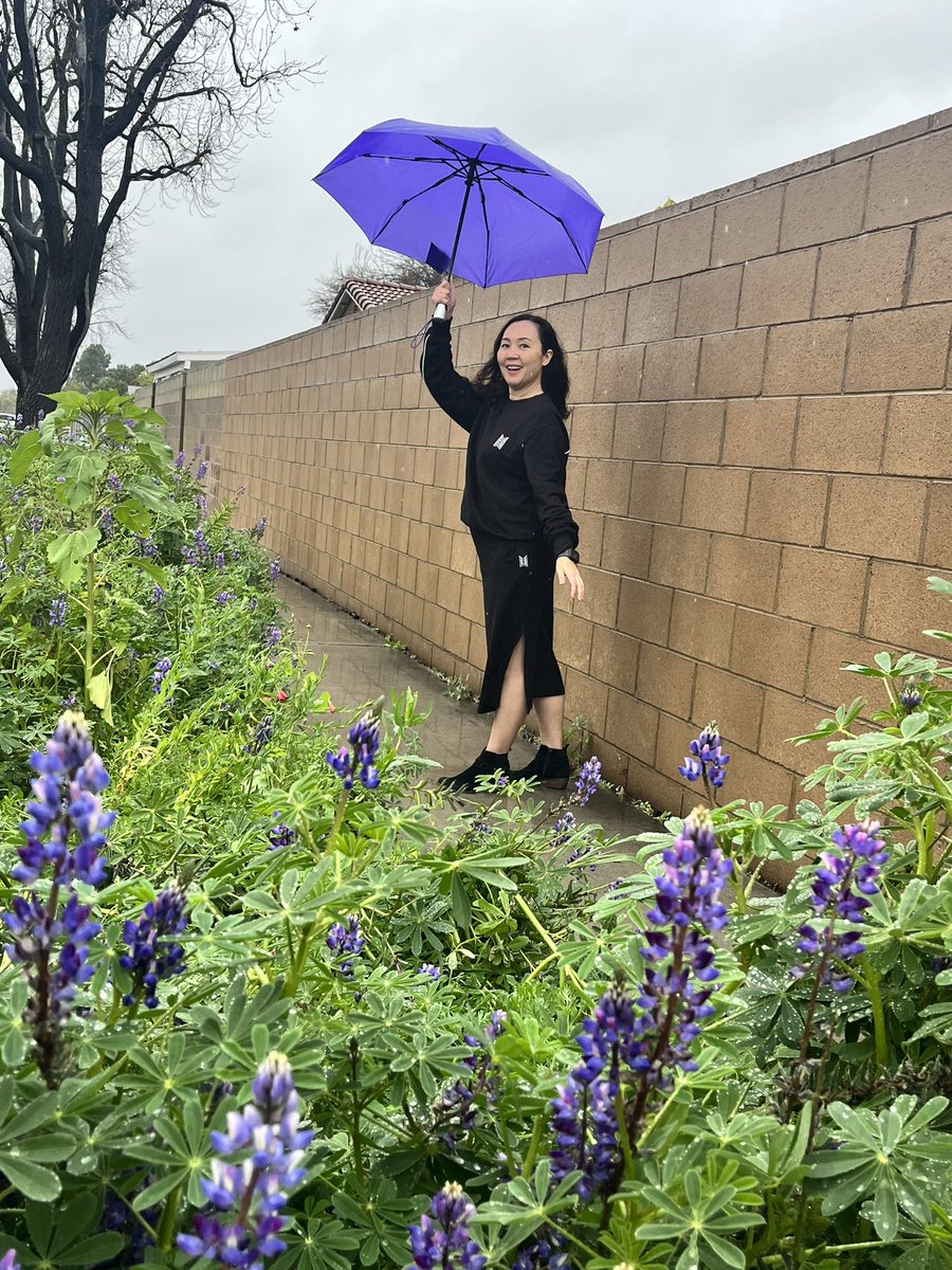 MMBungeeBTS7's tweet photo. This is 47. Just me and my purple umbrella in front of purple flowers, wearing #BTS Dalmajung outfits 🥰💜🫰@BTS_twt #BirthdayGirl #BTSArmy #Borahae https://t.co/dRClFAjHfD