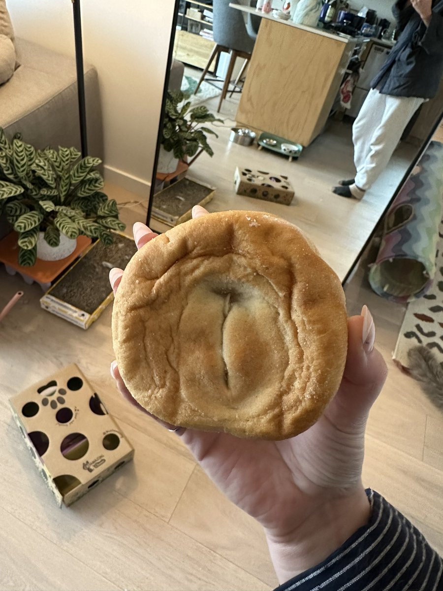 Arden Rose tweet media