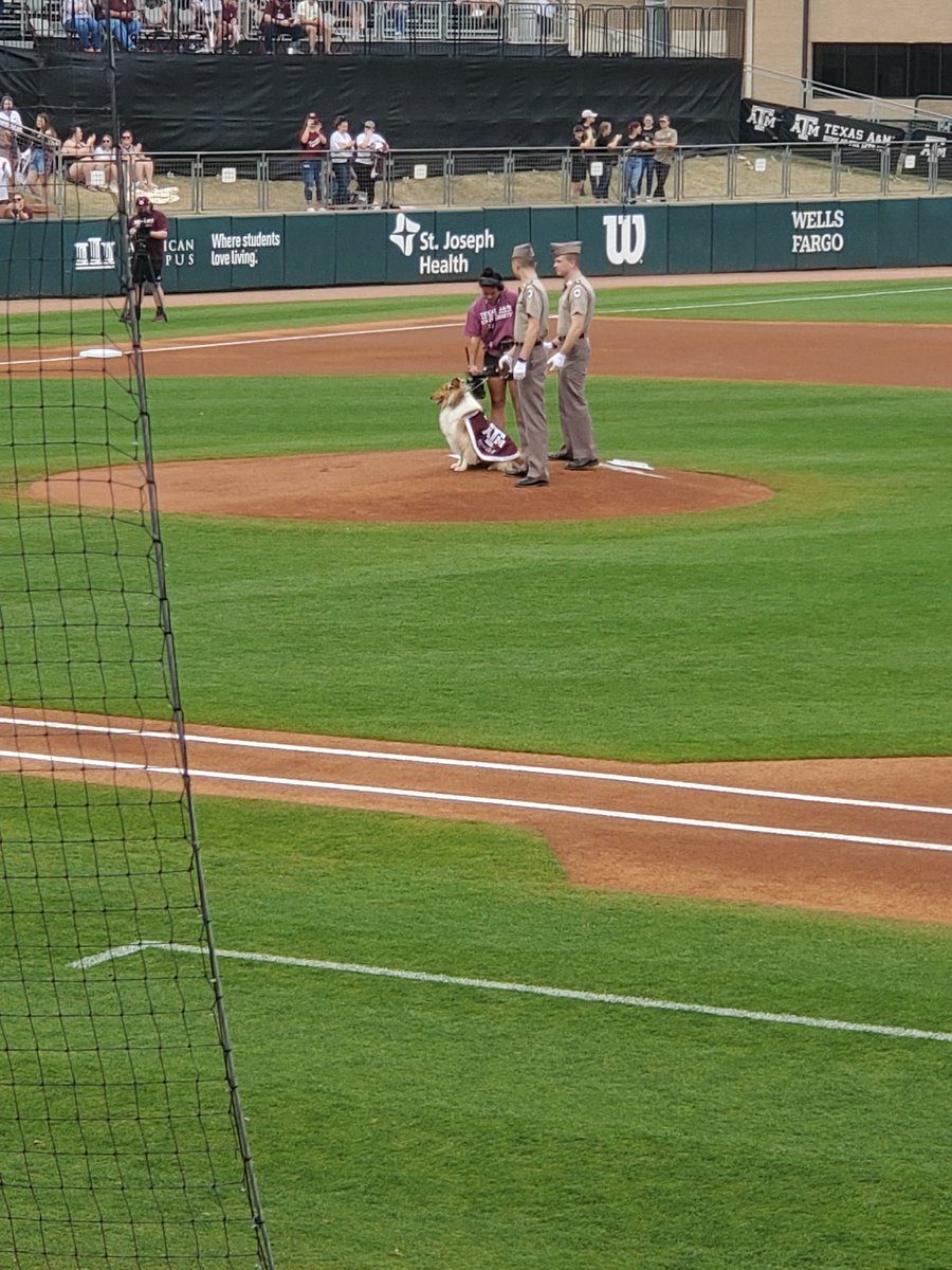 Y'all try not to be jealous.  Aggie Baseball &amp; Miss Rev! <a href="/reveille/">Reveille X</a> <a href="/davgigem/">Debbie VanPelt</a>