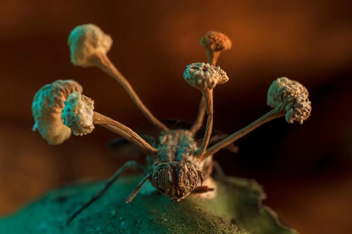 More eldritch ant horror!