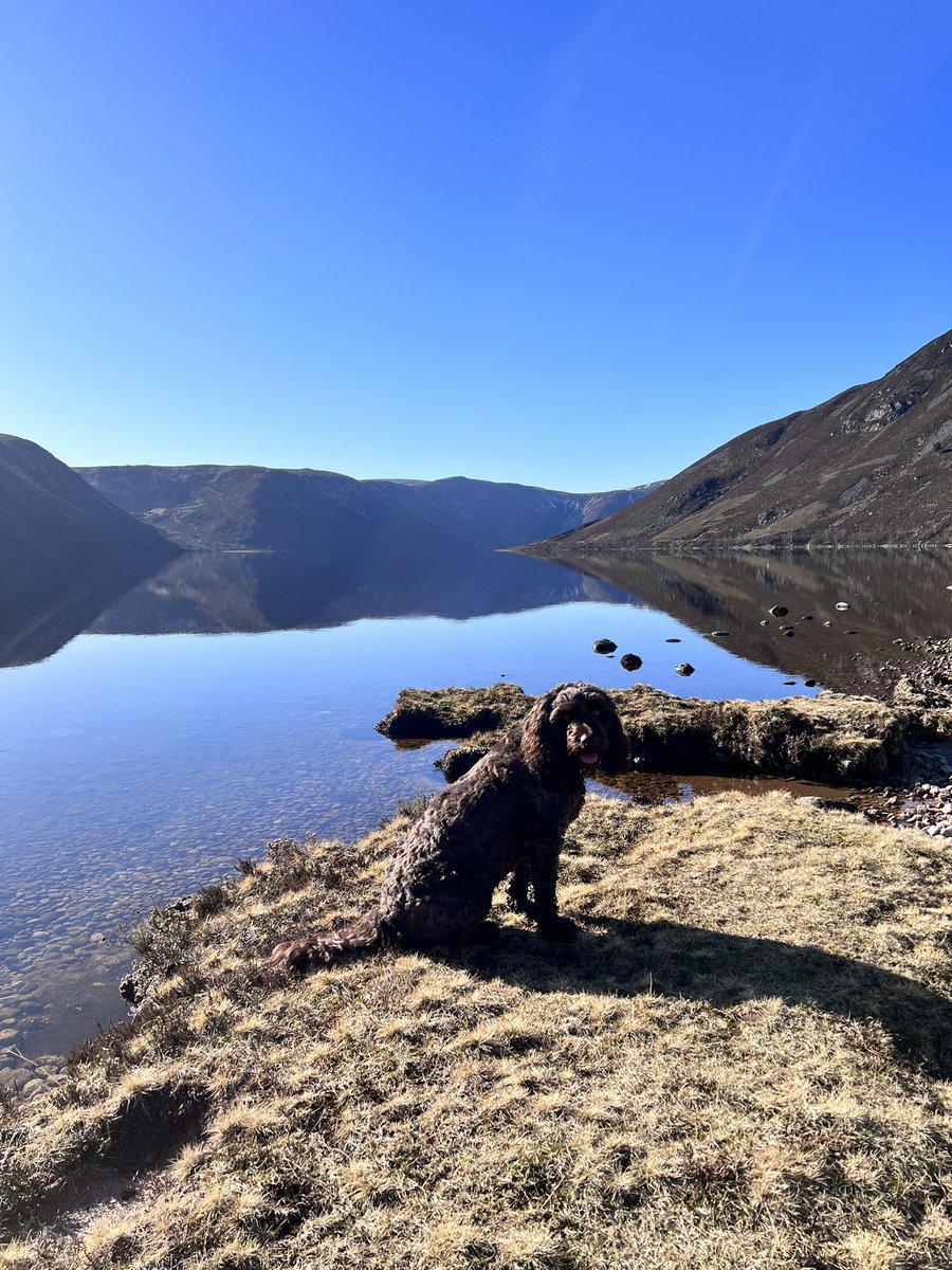 Priscila Renwick tweet media