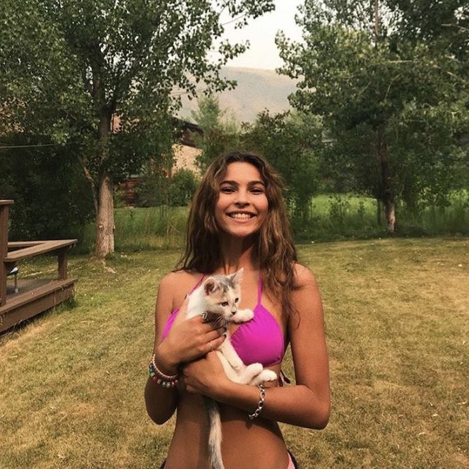 found this cat in the obx and was tempted to take it home #NewProfilePic