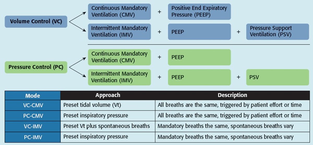 CritCareReviews's tweet photo. The basics of mechanical ventilation in adults
https://t.co/NFDfsnZbmy

CCR Journal Watch
https://t.co/Sp06oA6IDG https://t.co/d92hQl5HLQ