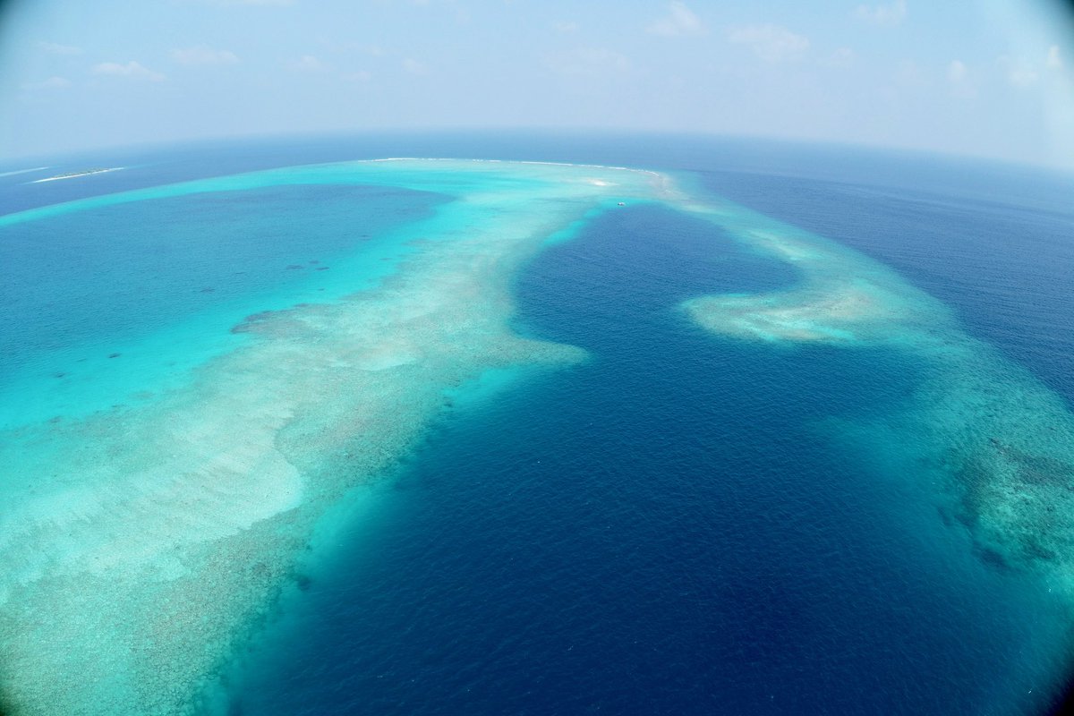 Drone Pilot Academy (@droneacademyuk) on Twitter photo When one of your clients sends you some photos of their research work in the Maldives…..thank you <a href="/pganderton/">Peter Ganderton</a> <a href="/PlymUni/">University of Plymouth</a> for sharing!!! Not jealous at all When one of your clients sends you some photos of their research work in the Maldives…..thank you <a href="/pganderton/">Peter Ganderton</a> <a href="/PlymUni/">University of Plymouth</a> for sharing!!! Not jealous at all