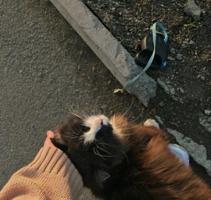 Добрый вечер. Сегодня вам стоит лечь пораньше, что бы встретить новую неделю в бодрой состоянии. Тем более весна уже вот вот придет.