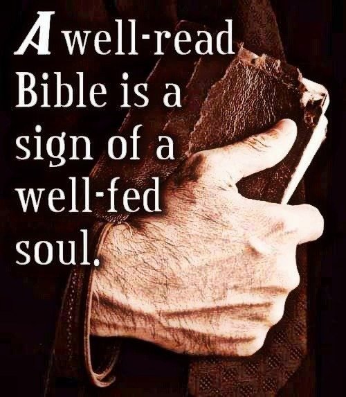 tolocarsa's tweet image. All Scripture is given by inspiration of #God  and is profitable for doctrine, for reproof, for correction, for instruction in righteousness
II Timothy 3:16
📖🔖