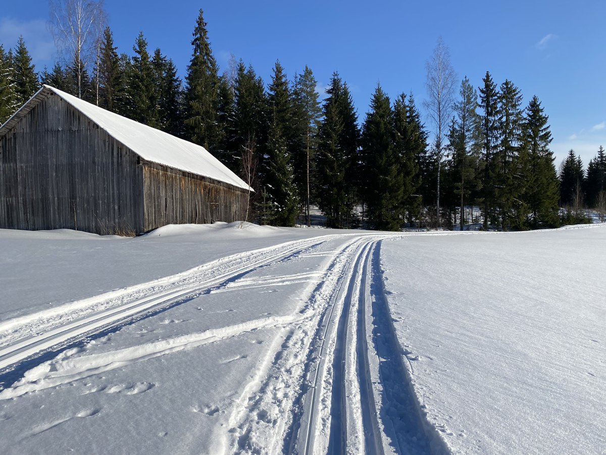TimoRutanen's tweet photo. #Erähiihto, Rauta-Jussin polku 24 km tuulisessa säässä. Ikääntyminen tuo mukanaan omituisia harrasteita. 😅 Kiitos järjestelyistä #EKLU:lle ja hatunnosto kaikille vapaaehtoisille! Hieno tapahtuma! #imatra @Imatrankaupunki #kansallisihme #immolanjärvi #talvi #xcskiing https://t.co/2XfP8dnR2H